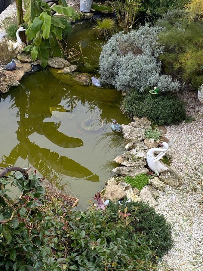 La Maison Du Bonheur Saintry-sur-Seine Eksteriør billede