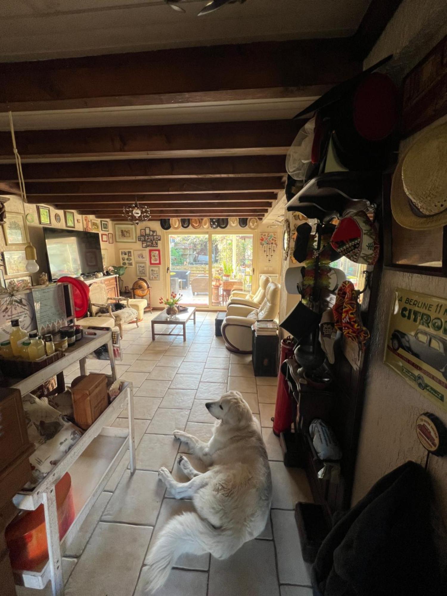 La Maison Du Bonheur Saintry-sur-Seine Eksteriør billede